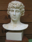 Preview: Antinoos (Antinous), Geliebter Kaiser Hadrians, Bueste 28 cm, 3,2 kg, beiger Kunstmarmorsockel