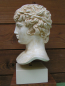 Preview: Antinoos (Antinous), Geliebter Kaiser Hadrians, Bueste 28 cm, 3,2 kg, beiger Kunstmarmorsockel