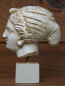 Preview: Aphrodite-Köpfchen 11 cm, 360 g, beiger Kunstmarmorsockel