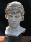 Preview: Antinous bust copy, 21 cm, 1,2 kg