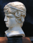 Preview: Antinous bust copy, 21 cm, 1,2 kg