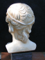 Preview: Antinous bust copy, 21 cm, 1,2 kg