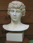 Preview: Antinous Antinoos bust copy replica, 28 cm, 3,2 kg