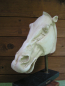 Preview: Horse head from the Parthenon/Selene, 36 cm, 6,8 kg, black marble base