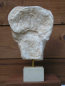 Kore von Akropolis, Haupt 22 cm, 1,2 kg, schwarzer Kunstmarmorsockel
