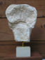 Preview: Kore von Akropolis, Haupt 22 cm, 1,2 kg, schwarzer Kunstmarmorsockel