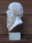 Preview: Socrates one of the greatest philosophers replica, Socrates bust replica, 21 cm, 1,33 kg, artificial marble base