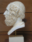 Preview: Homer-bust, Omeros-bust, museum replica, Iliad, Trojan, 23 cm, 1,5 kg