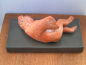 Preview: Sleeping Eros replica, from Pella, 9,4 cm length, high 4,7 cm, artificial marble base