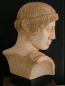 Preview: Apollon Olympia bust Museum Olympia Replica, 25 cm, 2,4 kg