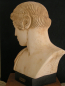 Preview: Apollon Olympia bust Museum Olympia Replica, 25 cm, 2,4 kg