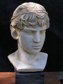 Antinoos, Geliebter Kaiser Hadrians, Bueste 21 cm, 1,2 kg, schwarzer Marmorsockel