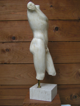 Athletes torso, 48 cm, 4 kg