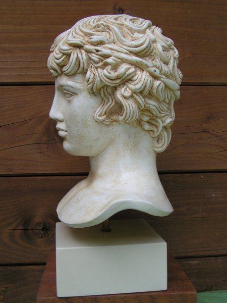 Antinoos (Antinous), Geliebter Kaiser Hadrians, Bueste 28 cm, 3,2 kg, beiger Kunstmarmorsockel